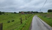 Tocht Stappen Genepiën - Houtain le Val 210624 - Photo 8