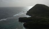 Excursión Senderismo Le Moule - Anse Petite Savane - Anse à l'Eau - Photo 10