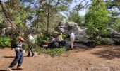 Randonnée Marche Fontainebleau - Le mont aigu  - Photo 1