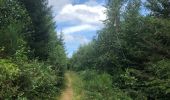 Trail Walking Manhay - Les Deux-Rys - Photo 5