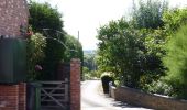 Tocht Te voet Wychavon - Wychavon Way (old) - Photo 10