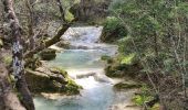 Randonnée Marche Nans-les-Pins - Nans les pins - sources de l'huveaune - Photo 3