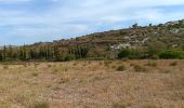 Excursión Senderismo Opoul-Périllos - cauna roja . perillos . château d´opoul  - Photo 11