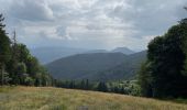 Tour Wandern Breitenbach - Vers le champ du Feu - Photo 3