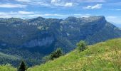 Tour Wandern Saint-Pierre-de-Chartreuse - Table d’orientation de la SCIA - Photo 14