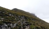 Tour Wandern Omblèze - Le tour du Roc de Toulau - Photo 10