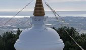 Percorso Marcia Vélez-Málaga - Tour de la Atalaya et Stupa Karmen Guen - Photo 3