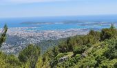 Randonnée Marche Évenos - Toulon Col du corps de garde Mont Caume - Photo 3