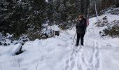 Excursión Raquetas de nieve Font-Romeu-Odeillo-Via - llobens 2021  - Photo 5