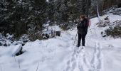 Tour Schneeschuhwandern Font-Romeu-Odeillo-Via - llobens 2021  - Photo 5