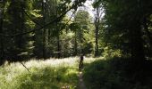 Excursión Bici de montaña Virton - T2021-07-23-18-16 - Photo 4