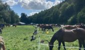 Trail Horseback riding Autigny-la-Tour - Autigny la tour marche gourmande 25 aout 2024 anime ta campagne - Photo 4