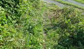 Trail Walking Reugny - Reugny - Vignes et Brenne - Photo 7