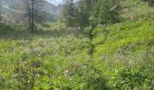 Trail Walking Ceillac - Ceillac Lacs Ste-Anne et Miroir - Photo 20
