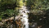 Trail Walking Waimes - Barrage de Robert Ville et Château Steinhart - Photo 2