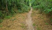 Trail Walking Cheptainville - Forêt Régionale de Cheptainville  - Photo 6