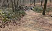 Trail Walking Mont-de-l'Enclus - Mont de l'Enclus - Photo 2