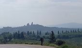 Tour Wandern San Gimignano - Pancolle / Colle val.d'Elsa - Photo 16