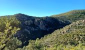 Excursión Senderismo Fréjus - Mont Vinaigre depuis Colle Douce - Photo 1