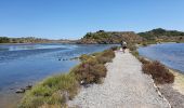 Randonnée Marche Peyriac-de-Mer - Peyriac de Mer - Salines  - Photo 2