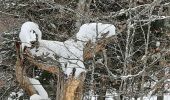 Randonnée Raquettes à neige Azet - st Lary voiture puis col d'Aspin en raquettes - Photo 1