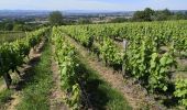 Tocht Stappen Chasselay - Le bois Chatelard - Photo 14