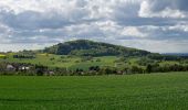 Excursión A pie Waldbrunn - Verbindungsweg Brummerkreuz - Unterdielbach - Photo 4