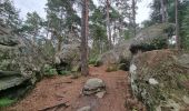 Tocht Stappen Fontainebleau - Fontainebleau Sentier Denecourt 17 - Photo 11