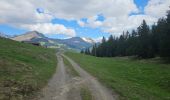 Tocht Mountainbike Le Grand-Bornand - Tour du Danay - Photo 3