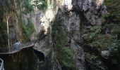 Trail Walking Chavanod - CHAVANOD ... les Gorges du Fier.  - Photo 6