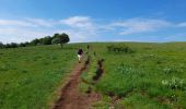 Tocht Stappen Nasbinals - live Nasbinals - Saint Chély  - Photo 9