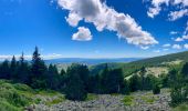 Tocht Mountainbike Cubières - TOUR MONT LOZERE - Photo 1