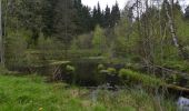 Tour Zu Fuß Thierstein - Wanderweg Selb-Thierstein - Photo 3