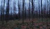 Trail Walking Esneux - randounette paec du Mary - Photo 2