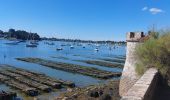 Tocht Stappen Arradon - PR_56_Arradon_EA_05_Les-2-Moulins_Circuit3a_20220827 - Photo 10