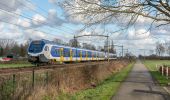 Tocht Te voet Oisterwijk - Wandelroute Duurzaamheidsvallei - Photo 8