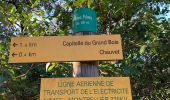 Tour Wandern Bernis - Capitelles de Bernis - Photo 12