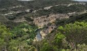 Tour Wandern Poulx - Poulx la Baume par balcon et ruisseau - Photo 9