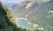 Trail Walking Morzine - 74-Avoriaz-cretes-belvedere-10km-360 - Photo 8