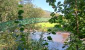 Tocht Stappen Stavelot - stavelot adeps 15km  01-09-2024 - Photo 15