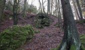 Trail On foot Neukirchen bei Sulzbach-Rosenberg - Rundwanderweg No.5 Neunkirchen - Photo 4