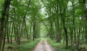 Trail Walking Le Vaudoué - Le Vaudoué entre champs et forêt - Photo 4