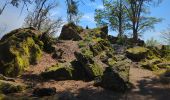 Excursión Senderismo Le Hohwald - Hohwald - Rothlach - Neuntelstein - Photo 4