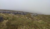 Tocht Stappen West Cork - Hungry Hill - Photo 13