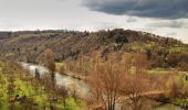 Tour Zu Fuß Hessigheim - Neckarhöhen - Photo 6