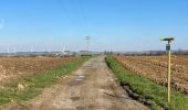 Excursión Senderismo Quévy - Givry sud 17 km - Photo 16