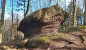 Trail Walking Reinhardsmunster - Reinhardsmunster - château Ochsenstein - tour du Brotsch - Photo 14