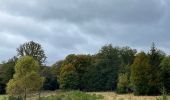 Trail Walking Habay - Le grand ruisseau  - Photo 2