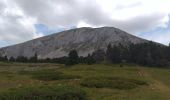 Percorso Marcia Saint-Agnan-en-Vercors - 38 Grand Veymont par le plateau - Photo 1