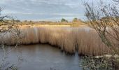 Tour Wandern La Trinité-sur-Mer - PR_56_La-Trinite-Sur-Mer_CA_03_Circuit4b_Sentier-Douanier-Et-Marais-Salants_20221217 - Photo 4